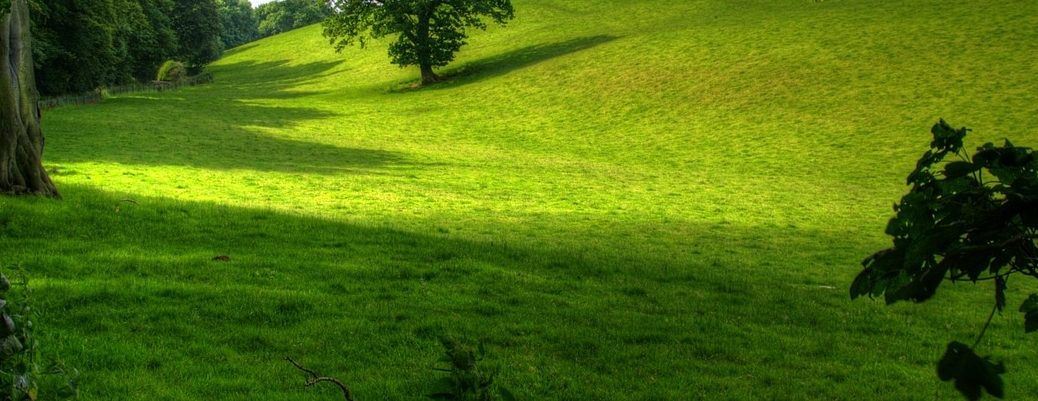 about pic 1038x401