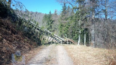 blocked street 1024x576