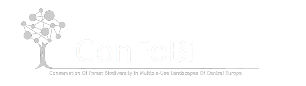 confobi tree logo with full text 2 1024x290
