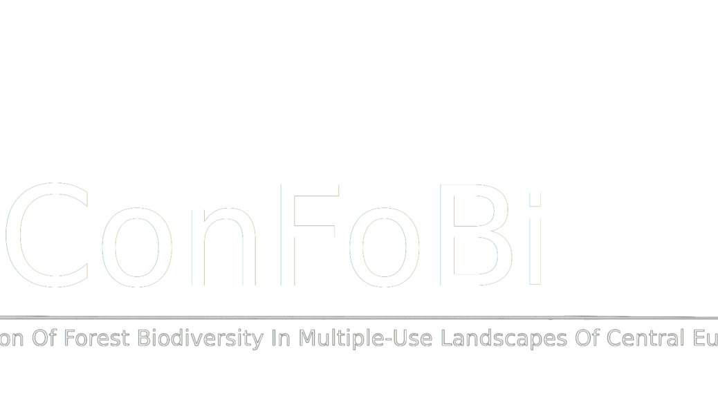 confobi tree logo with full text 2 1038x576