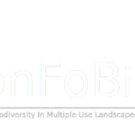 confobi tree logo with full text 2 150x150