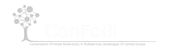 confobi tree logo with full text 2 604x171