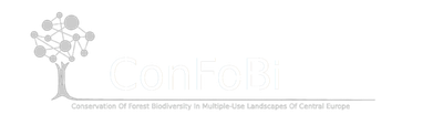 confobi tree logo with full text 2 604x171