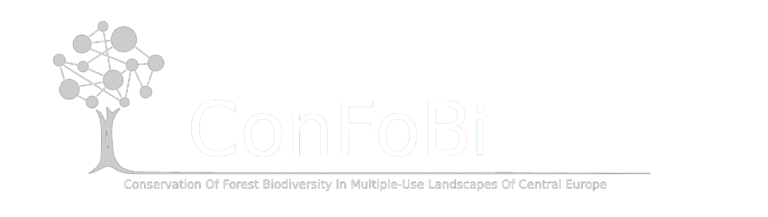 confobi tree logo with full text 2 768x217