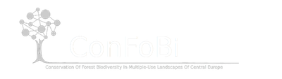 confobi tree logo with full text 2 768x217