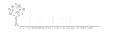 confobi tree logo with full text 2