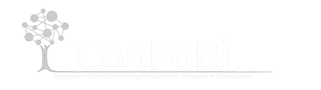 confobi tree logo with full text 3 1024x290