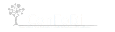 confobi tree logo with full text 3 1024x290