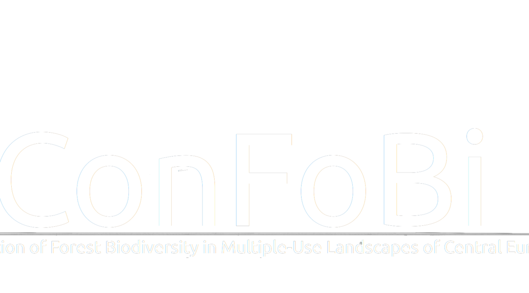 confobi tree logo with full text 3 1038x576
