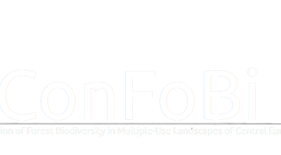 confobi tree logo with full text 3 1038x576