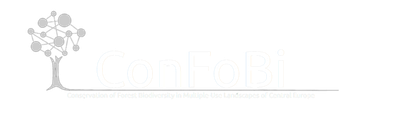 confobi tree logo with full text 3 604x171