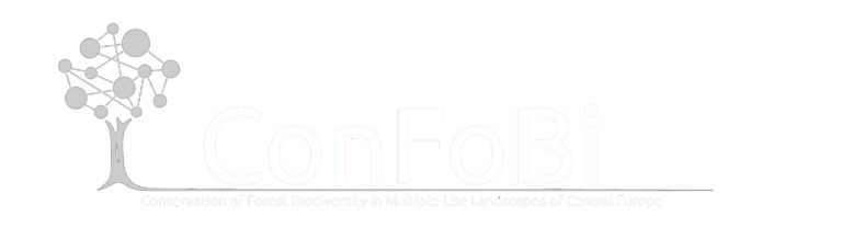 confobi tree logo with full text 3 768x217