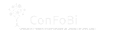 confobi tree logo with full text 4 5 1 1024x290