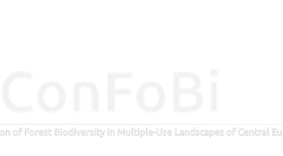 confobi tree logo with full text 4 5 1 1038x576