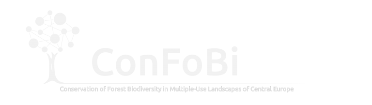 confobi tree logo with full text 4 5 1 768x217