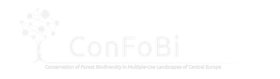 confobi tree logo with full text 4 5 1