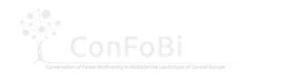 confobi tree logo with full text 4 5 1024x289