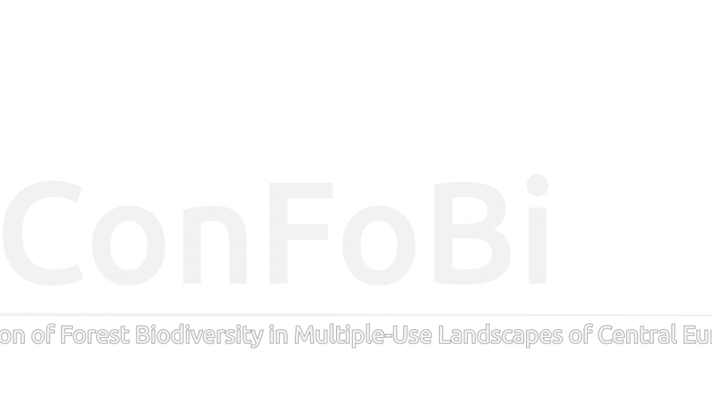 confobi tree logo with full text 4 5 2 1038x576