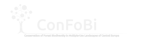 confobi tree logo with full text 4 5 2 604x171