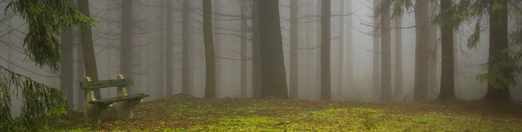 header 2 pic crop 1024x260