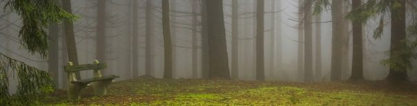 header 2 pic crop 604x154