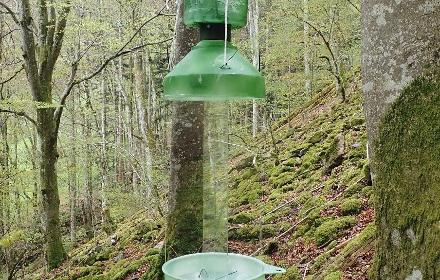 Pic Anna1 1 904x576