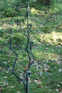 Sensors 200x300