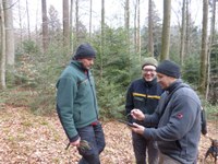 Foresters exploring the Rosskopf Marteloscope 